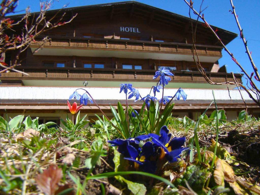 Hotel Bellevue Neustift im Stubaital Exterior foto